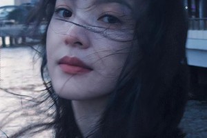 精选图片集锦：视觉盛宴一览