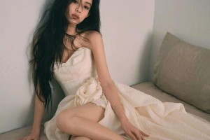 精选图片集锦：视觉盛宴一览