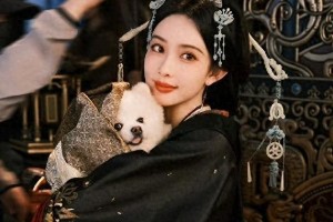 精选图片集锦：视觉盛宴一览