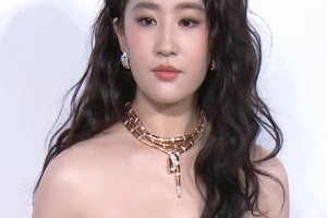 精彩图片集锦：视觉盛宴一览
