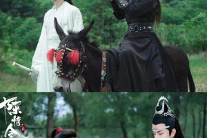 肖战主演电视剧盘点：从《陈情令》到《藏海传》