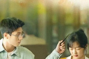 《烟火人家》大结局：陶大磊的意难平婚姻解析