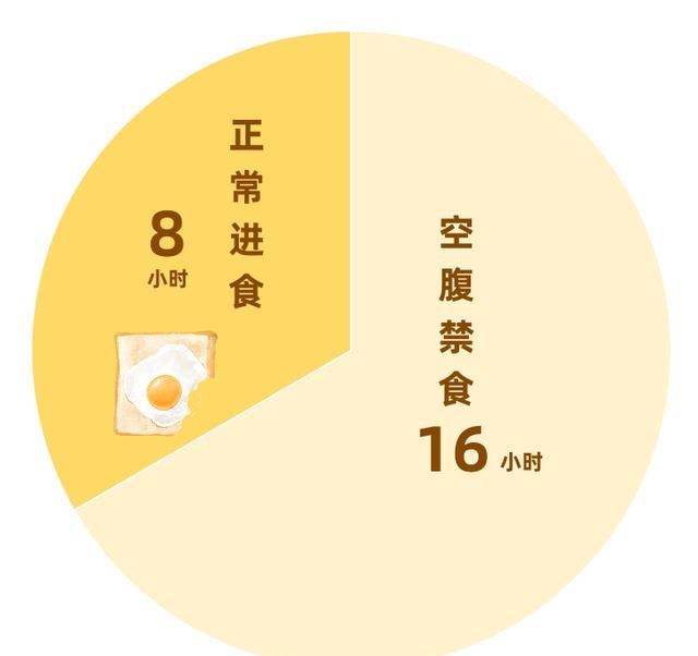 16+8轻断食时间安排