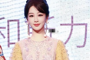 杨紫整容风波：容貌焦虑与演艺生涯的反思