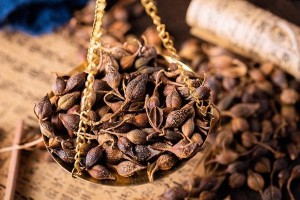 《本草纲目》的传奇：李时珍与周杰伦的文化碰撞