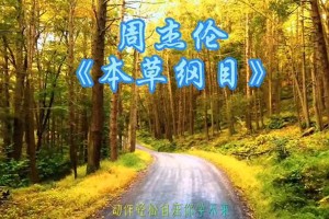 周杰伦《本草纲目》歌词解析与音乐魅力